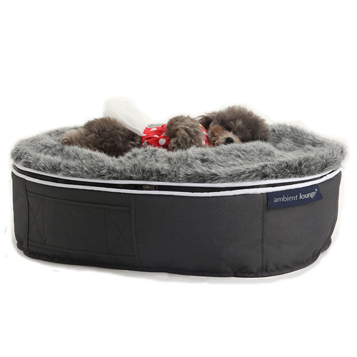 small pet bed fur australia cute dog melbourne