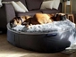 black cushion dog beds made of bean bags by Ambient Lounge